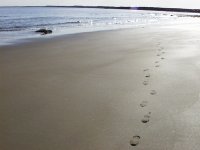Footprints in sand